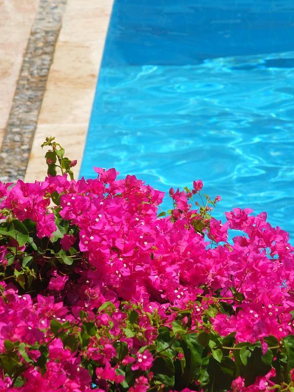 Hotel Villa Berk Фетие Екстериор снимка